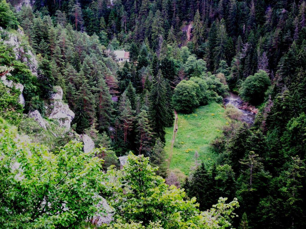 Chata Zlatka Villa Spišské Tomášovce Esterno foto